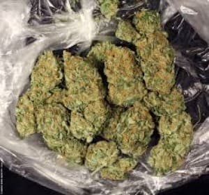 Weed-and-Buds11's LeafedOut Profile
