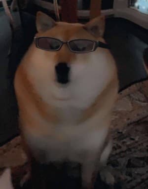 Penny8911's LeafedOut Profile