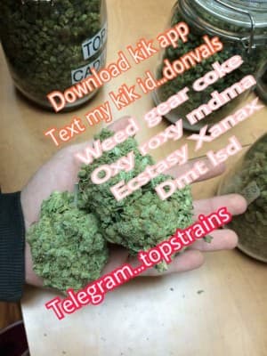 TOP-QUALITY-WEED-FOR-SALE's LeafedOut Profile