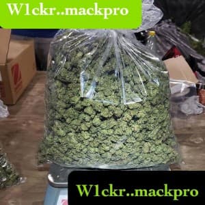 maybach14's LeafedOut Profile