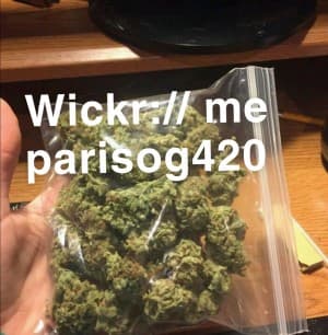 Branton01's LeafedOut Profile