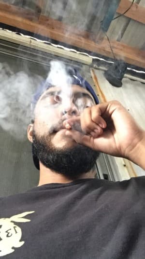 RaulTHC's LeafedOut Profile