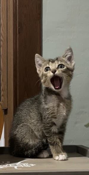 PMarion's LeafedOut Profile