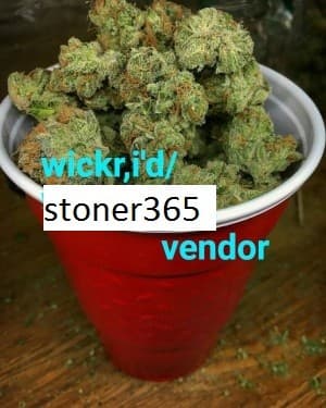 dvdrfrg54's LeafedOut Profile