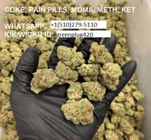 LOOM90WEED's LeafedOut Profile