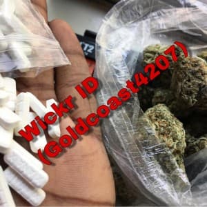 HashHish247's LeafedOut Profile