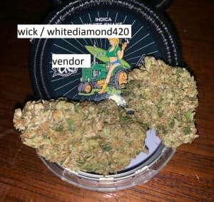XJCISUDF9's LeafedOut Profile
