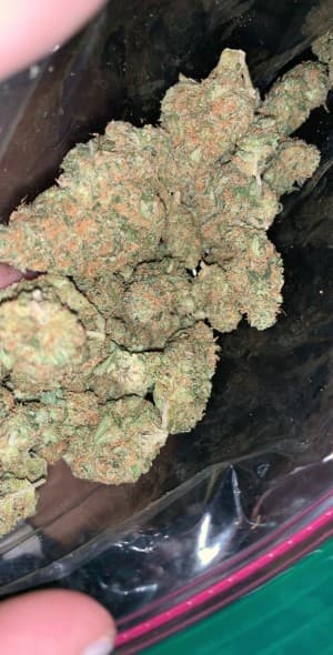 Weedbaabyy's LeafedOut Profile
