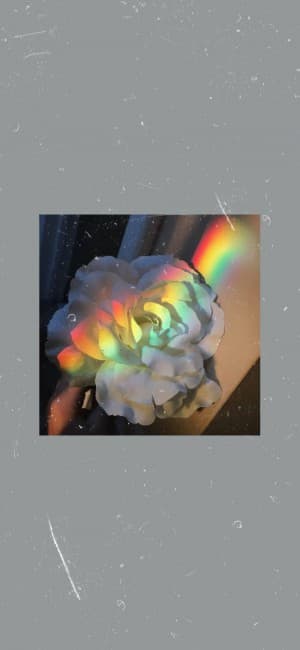 Heyjxx's LeafedOut Profile