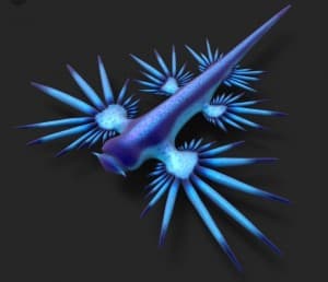 Glaucus's LeafedOut Profile