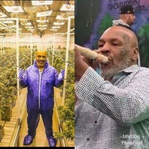 Dankhound914's LeafedOut Profile