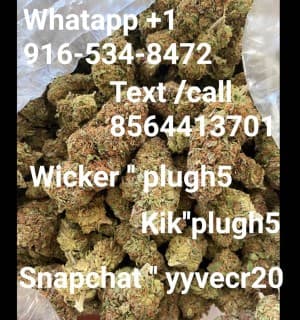 nhyctfdre340's LeafedOut Profile