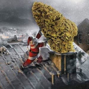 alienboy420's LeafedOut Profile