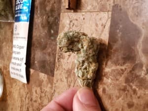 BudmanJay02's LeafedOut Profile