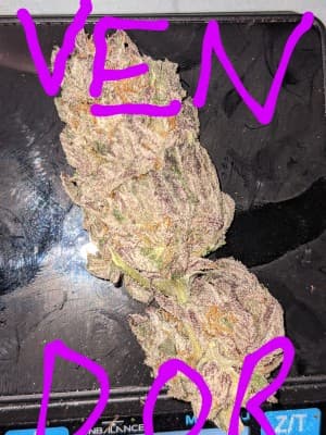 topnotchmeds's LeafedOut Profile