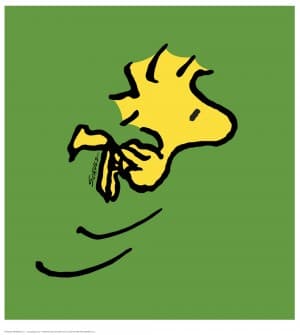 Woodstock_'s LeafedOut Profile