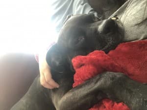 SofiaBlunts's LeafedOut Profile