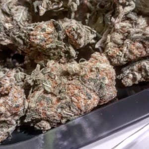 Nadds420's LeafedOut Profile