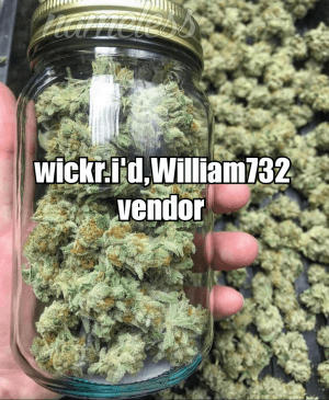 random567's LeafedOut Profile