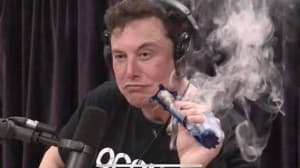 MikeGyver_420's LeafedOut Profile