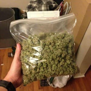Theplug245's LeafedOut Profile