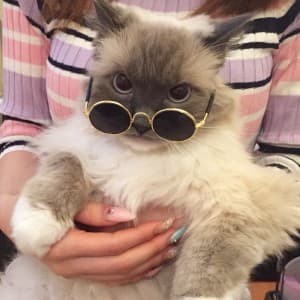 peachall's LeafedOut Profile