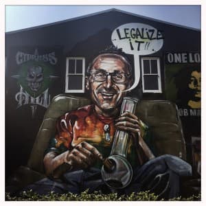 TOpotSmkr's LeafedOut Profile