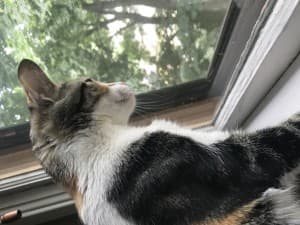 zzzzzzz's LeafedOut Profile
