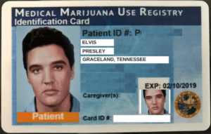 420truckers's LeafedOut Profile