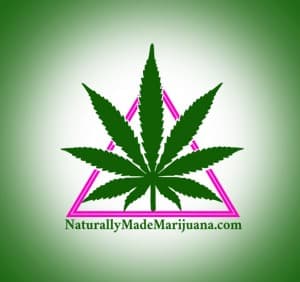 SouthernStoner's LeafedOut Profile