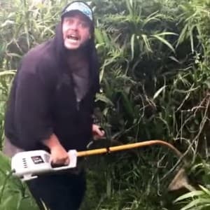 LemonBake's LeafedOut Profile