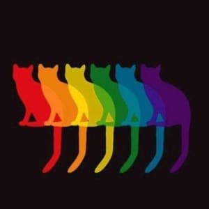 RainbowCat's LeafedOut Profile