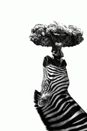 LekkerZebra's LeafedOut Profile