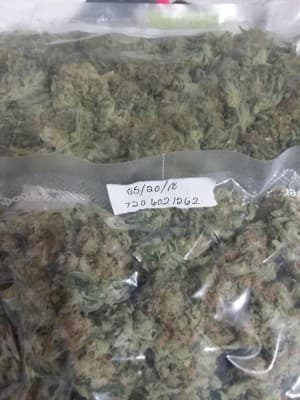 COLORADOINDOORDANK's LeafedOut Profile