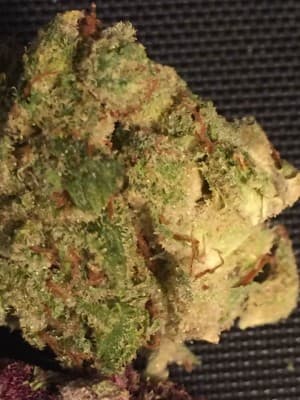 Kushweed's LeafedOut Profile