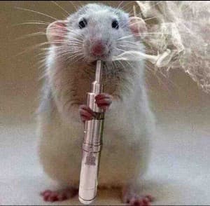 Nhamsterchief's LeafedOut Profile