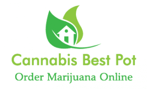 cannabisbestpot's LeafedOut Profile