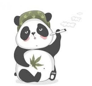 KoalafiedPanda's LeafedOut Profile