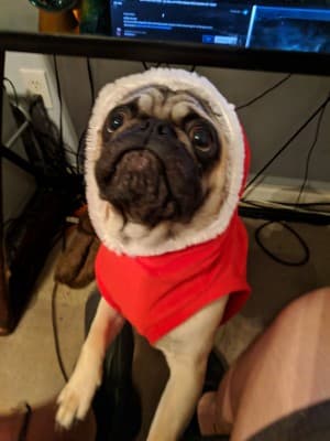 Spacepug's LeafedOut Profile