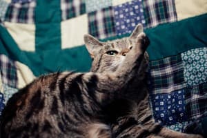 Mrz_Butters's LeafedOut Profile