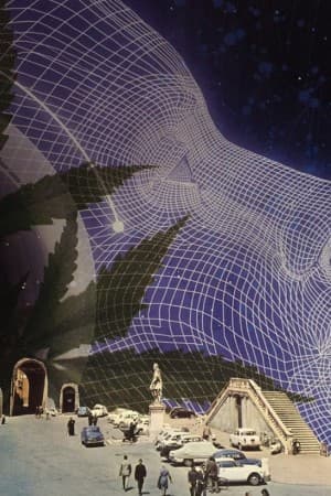 addaddadd's LeafedOut Profile