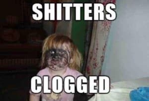Catnipixie's LeafedOut Profile