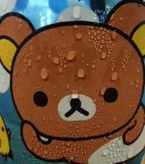 rilakkuma420's LeafedOut Profile