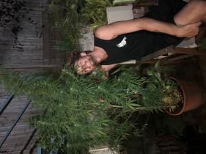 MyPurplegrapehaze's LeafedOut Profile