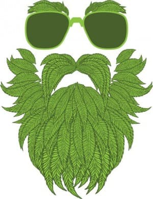 BudBundy's LeafedOut Profile