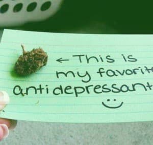 Cannabisislife420's LeafedOut Profile