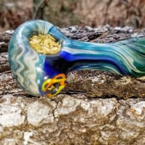 appalachiasbest's LeafedOut Profile