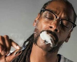 DTW420's LeafedOut Profile