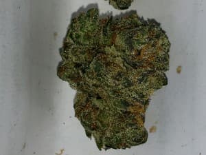 Leee9790's LeafedOut Profile