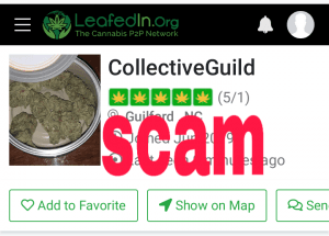 sarahjuana's LeafedOut Profile